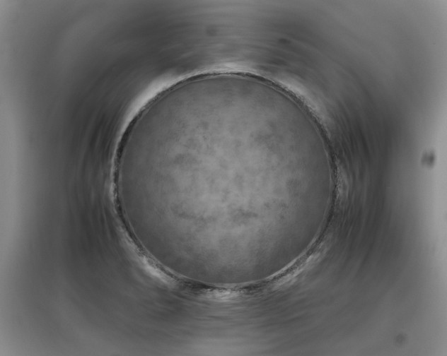 X0000097921278200803141432