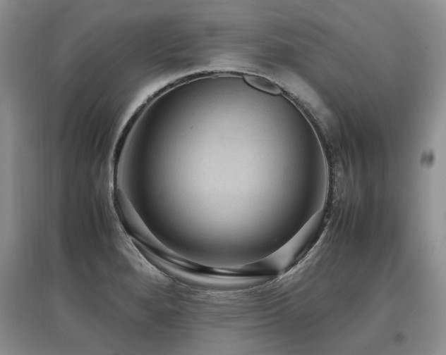 X0000097921280200803141432