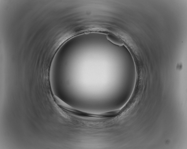 X0000097921281200803141432