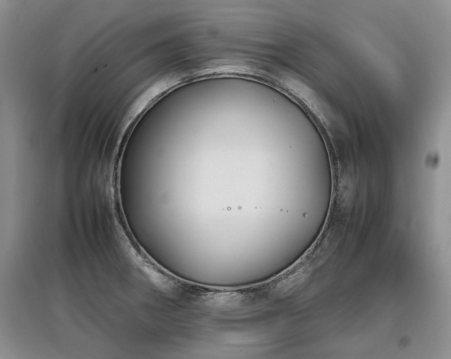 X0000097921282200803141432
