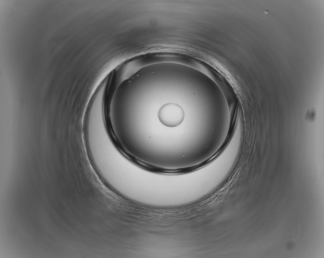 X0000097921283200803141432