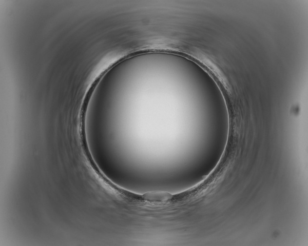 X0000097921285200803141432