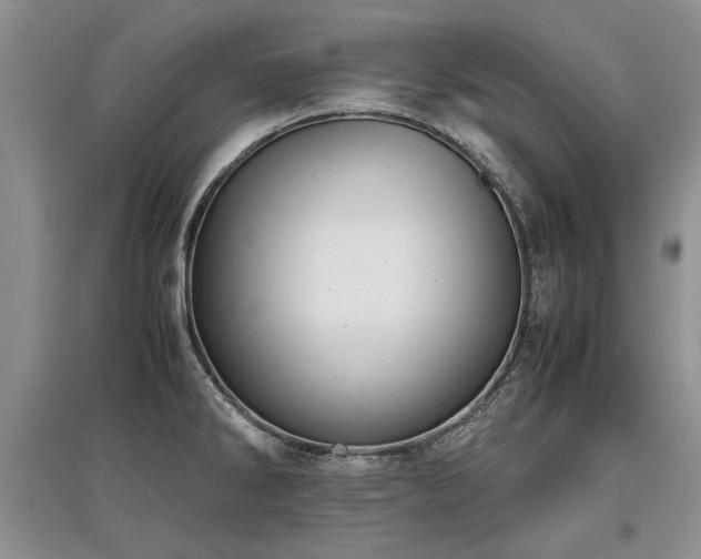 X0000097921286200803141432