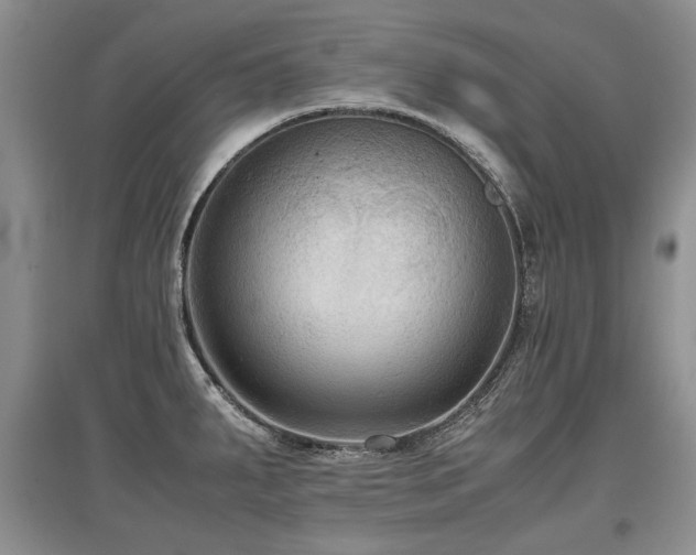 X0000097921287200803141432