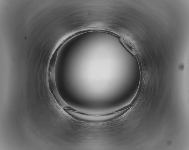 X0000097921288200803141432