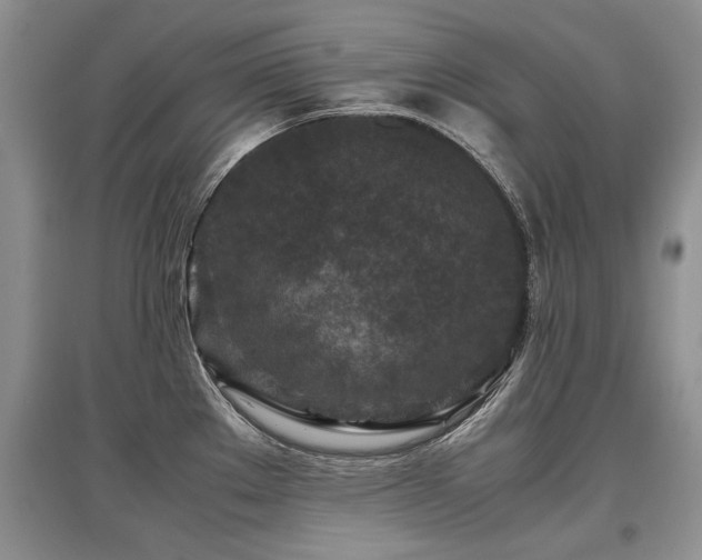 X0000097921289200803141432