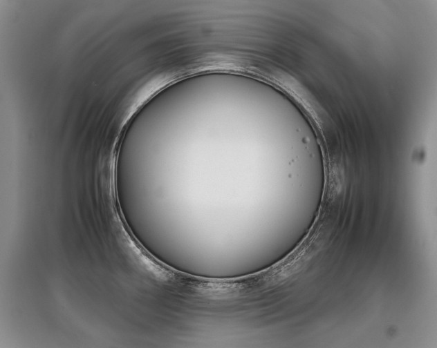 X0000097921290200803141432