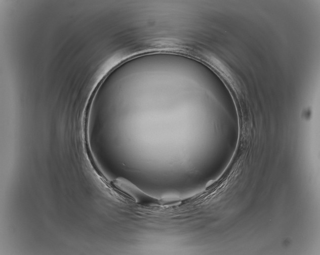 X0000097921291200803141432