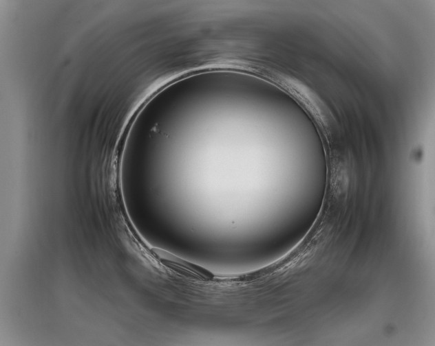 X0000097921292200803141432