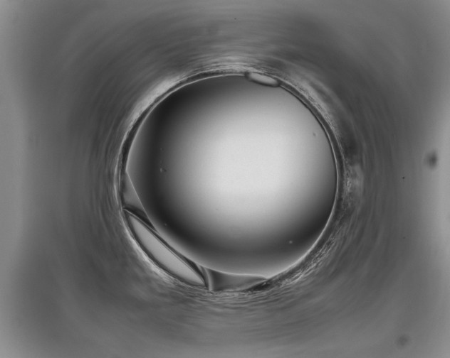 X0000097921293200803141432