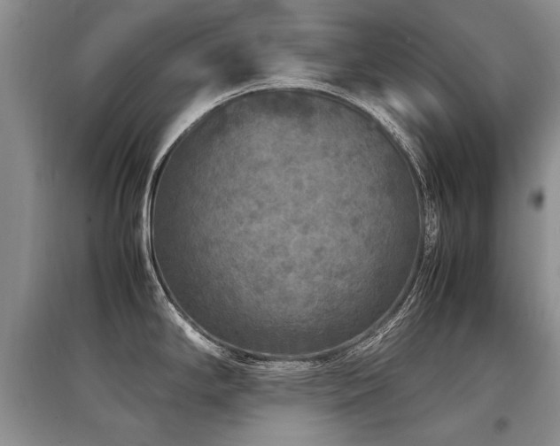 X0000097921294200803141432
