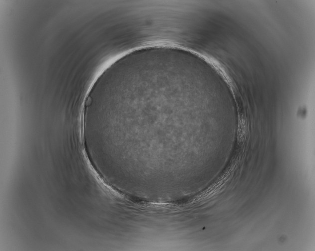 X0000097921295200803141432