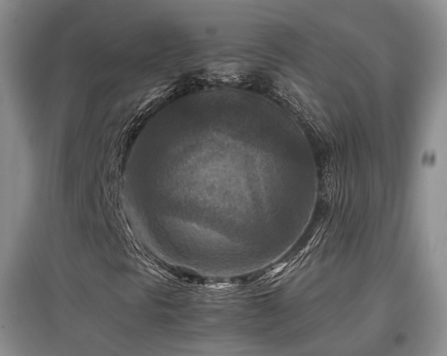 X0000097921297200803141431