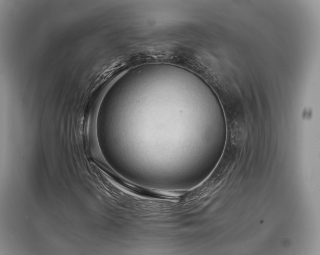 X0000097921298200803141431