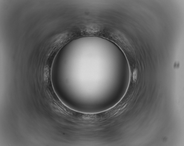 X0000097921299200803141431