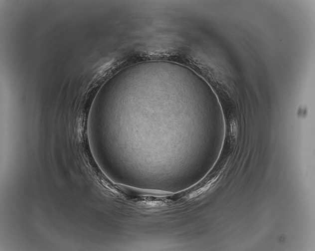 X0000097921300200803141431