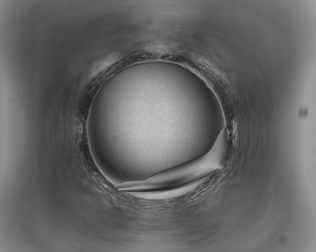 X0000097921302200803141431