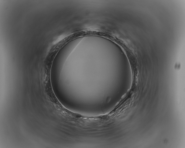 X0000097921303200803141431