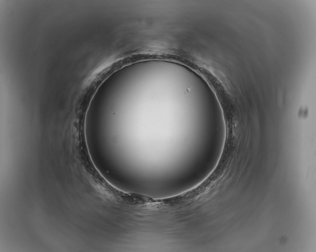 X0000097921304200803141431