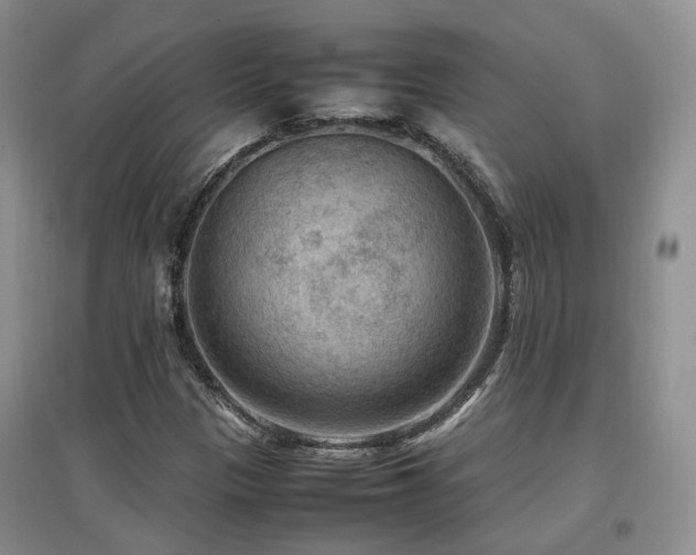 X0000097921305200803141431