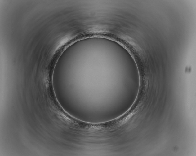 X0000097921306200803141432