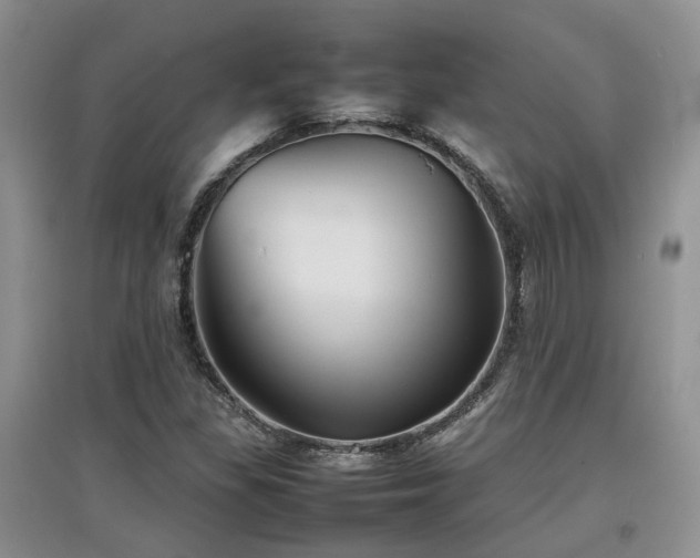 X0000097921309200803141432