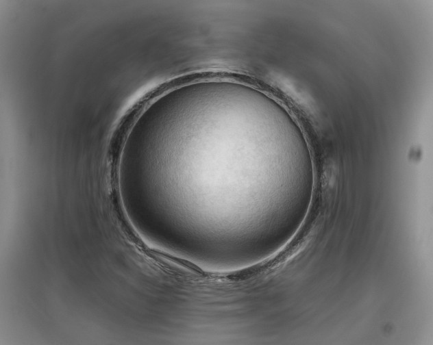 X0000097921310200803141432