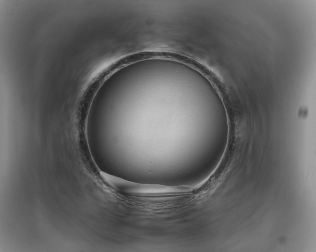 X0000097921311200803141432