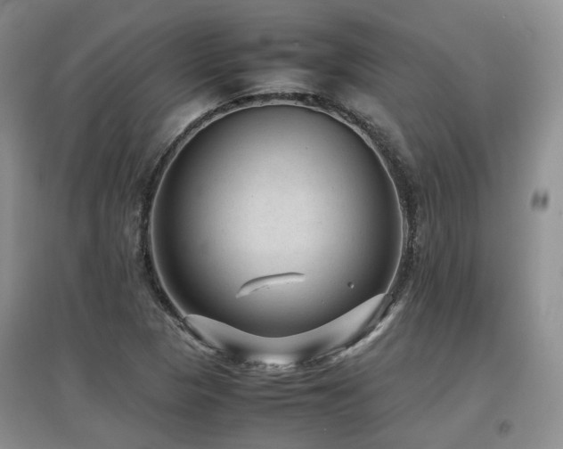 X0000097921313200803141432