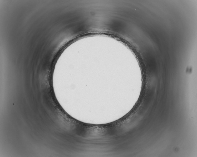 X0000097921314200803141432
