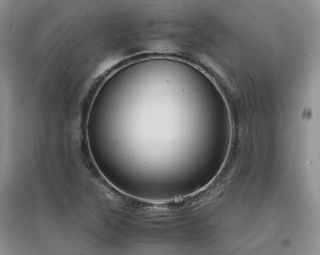 X0000097921315200803141432