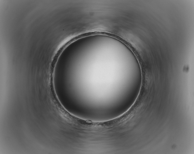 X0000097921316200803141432