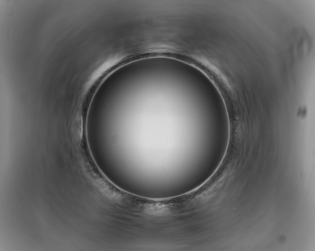 X0000097921317200803141432