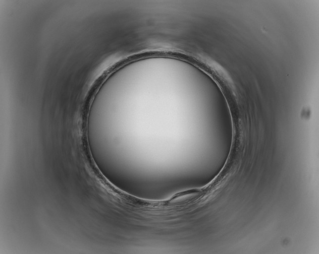 X0000097921318200803141432