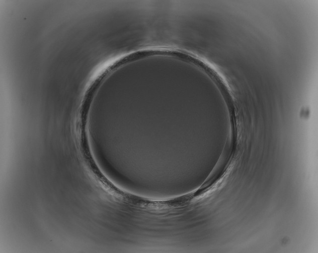 X0000097921319200803141432