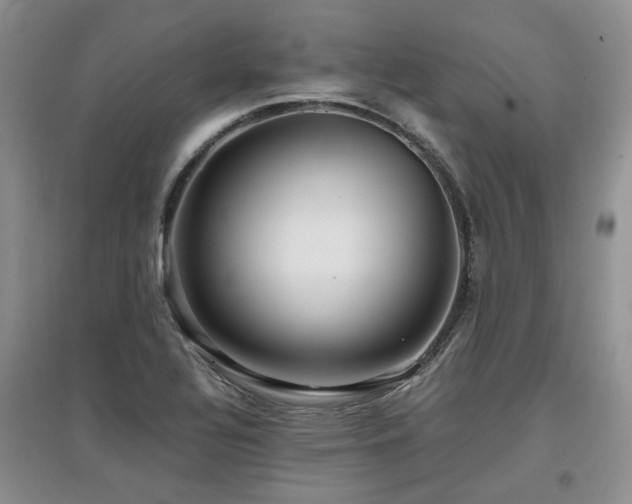X0000097921320200803141432