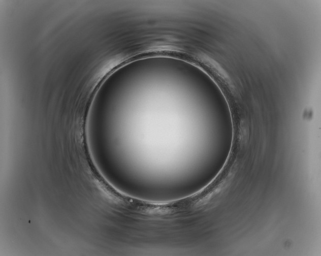 X0000097921321200803141432