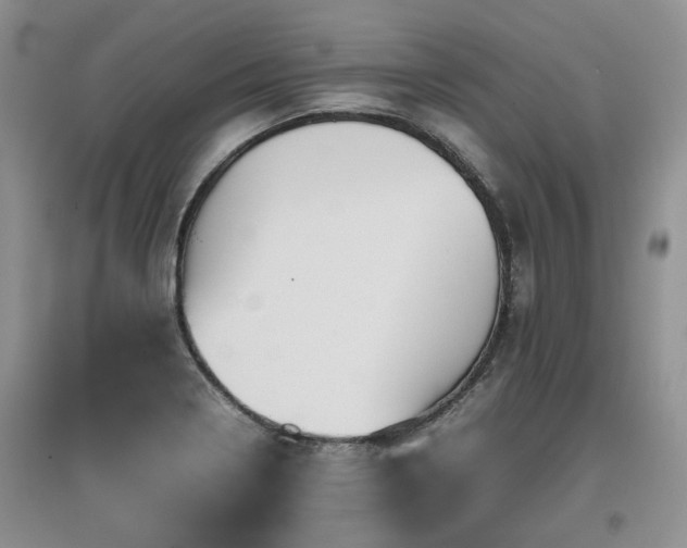 X0000097921322200803141432