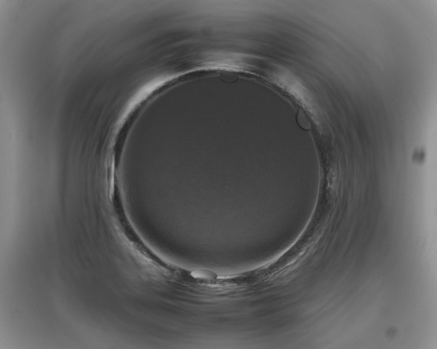 X0000097921323200803141432