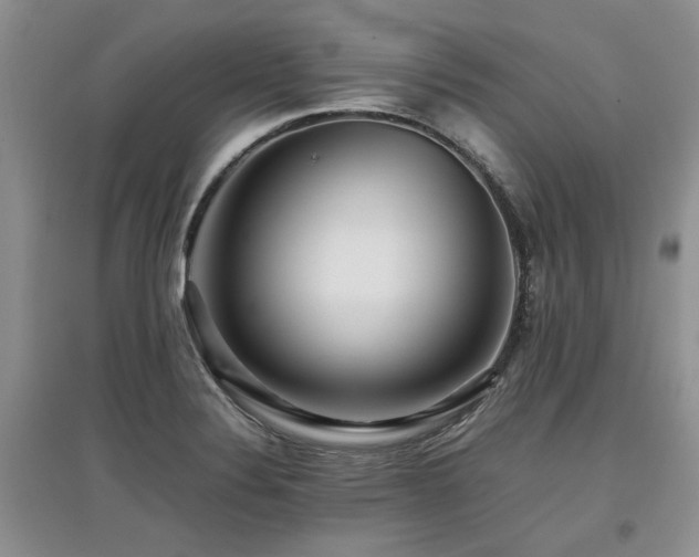 X0000097921324200803141432