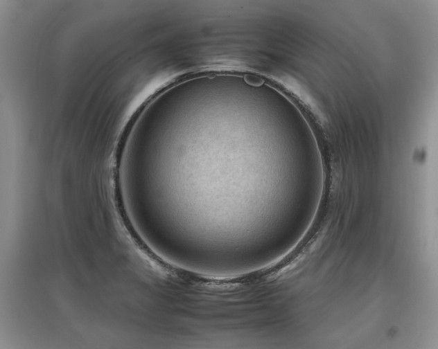 X0000097921325200803141432