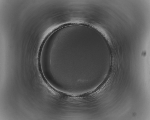 X0000097921327200803141432