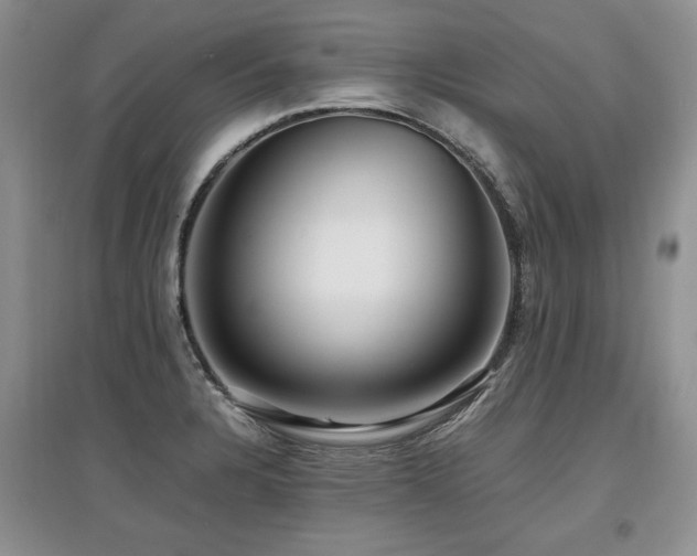X0000097921328200803141432