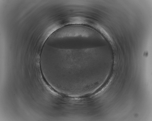 X0000097921329200803141432