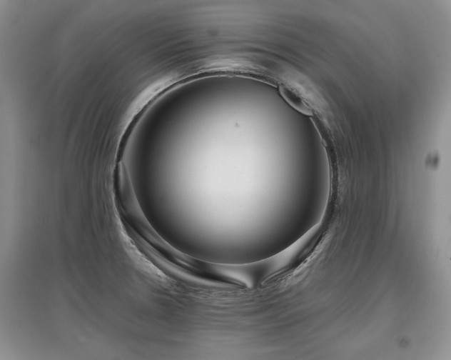 X0000097921330200803141432