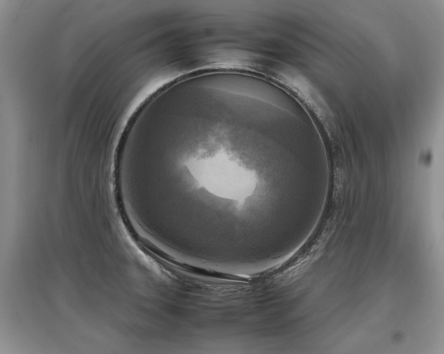 X0000097921331200803141432