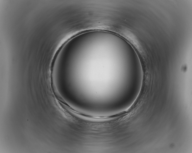 X0000097921332200803141432