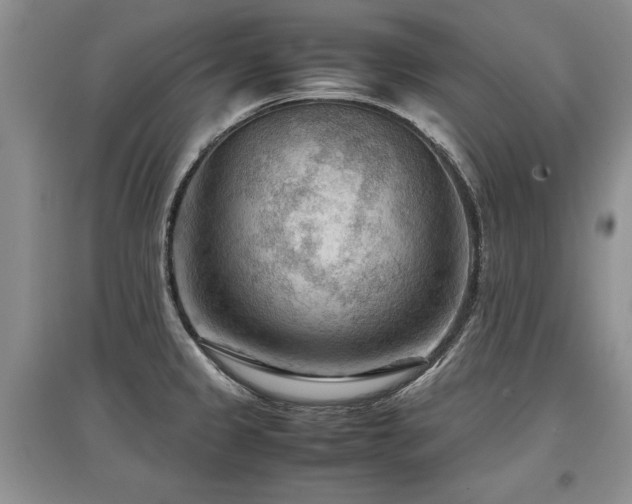 X0000097921333200803141432