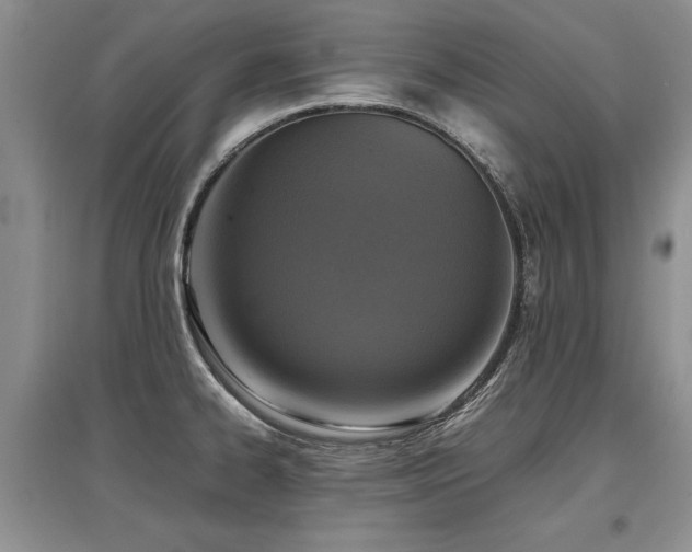 X0000097921334200803141432