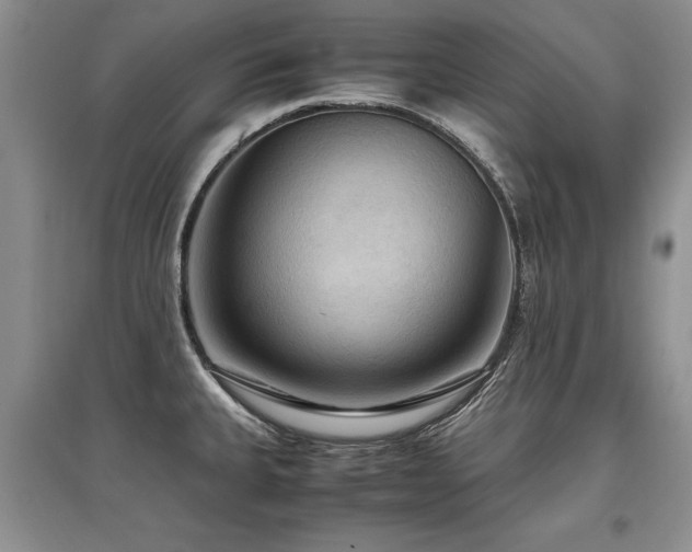 X0000097921335200803141432